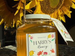 Harry's Honey - Large