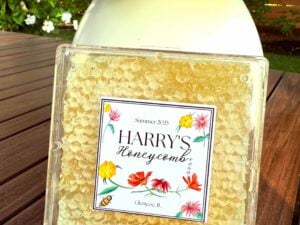 Harry's Pure Honeycomb