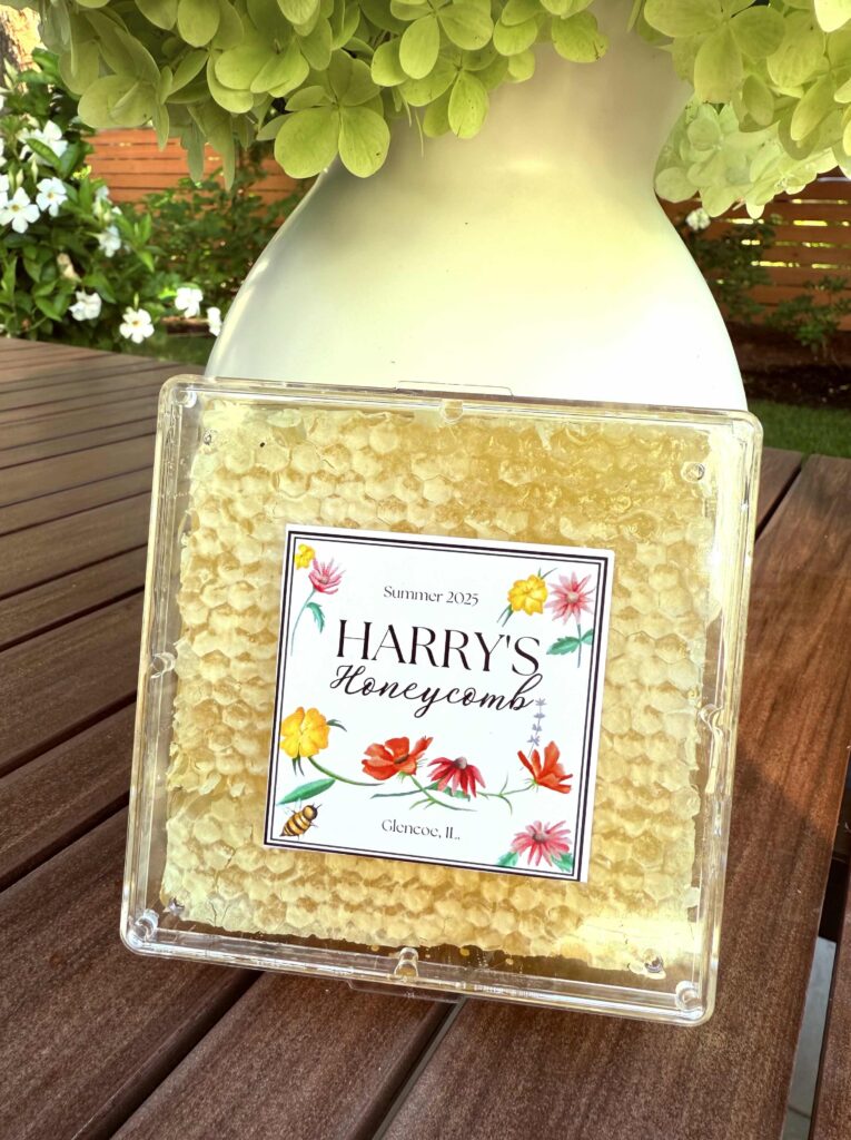 Harry's Pure Honeycomb
